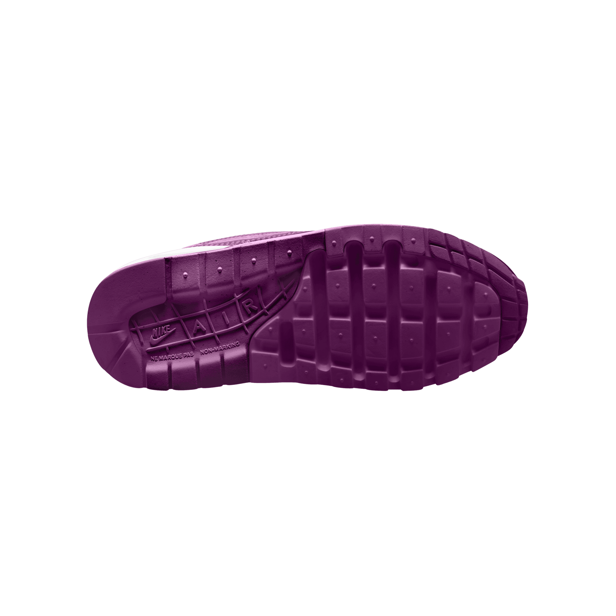 Big Kids' Air Max 1 "Viotech"