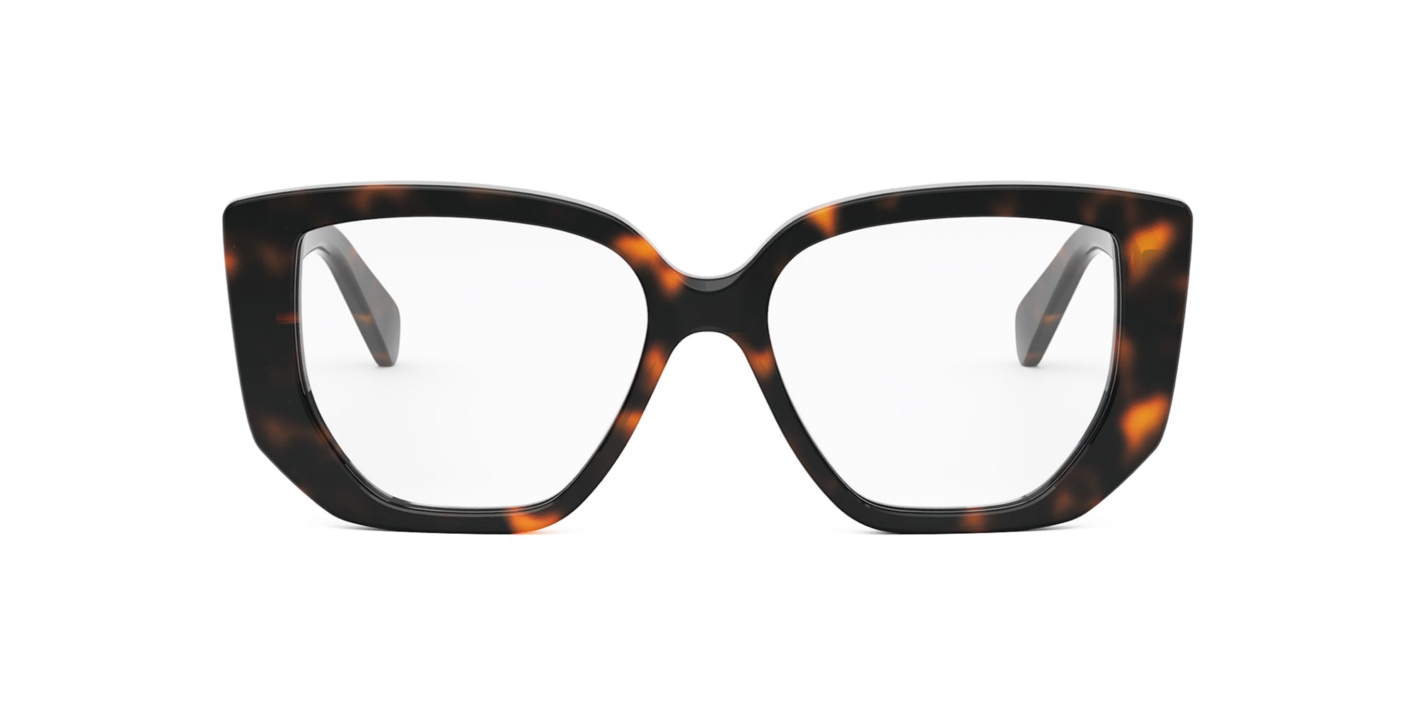 CELINE Triomphe CL50146I