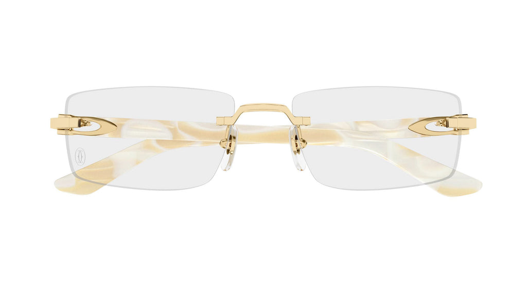 Cartier CT0581O