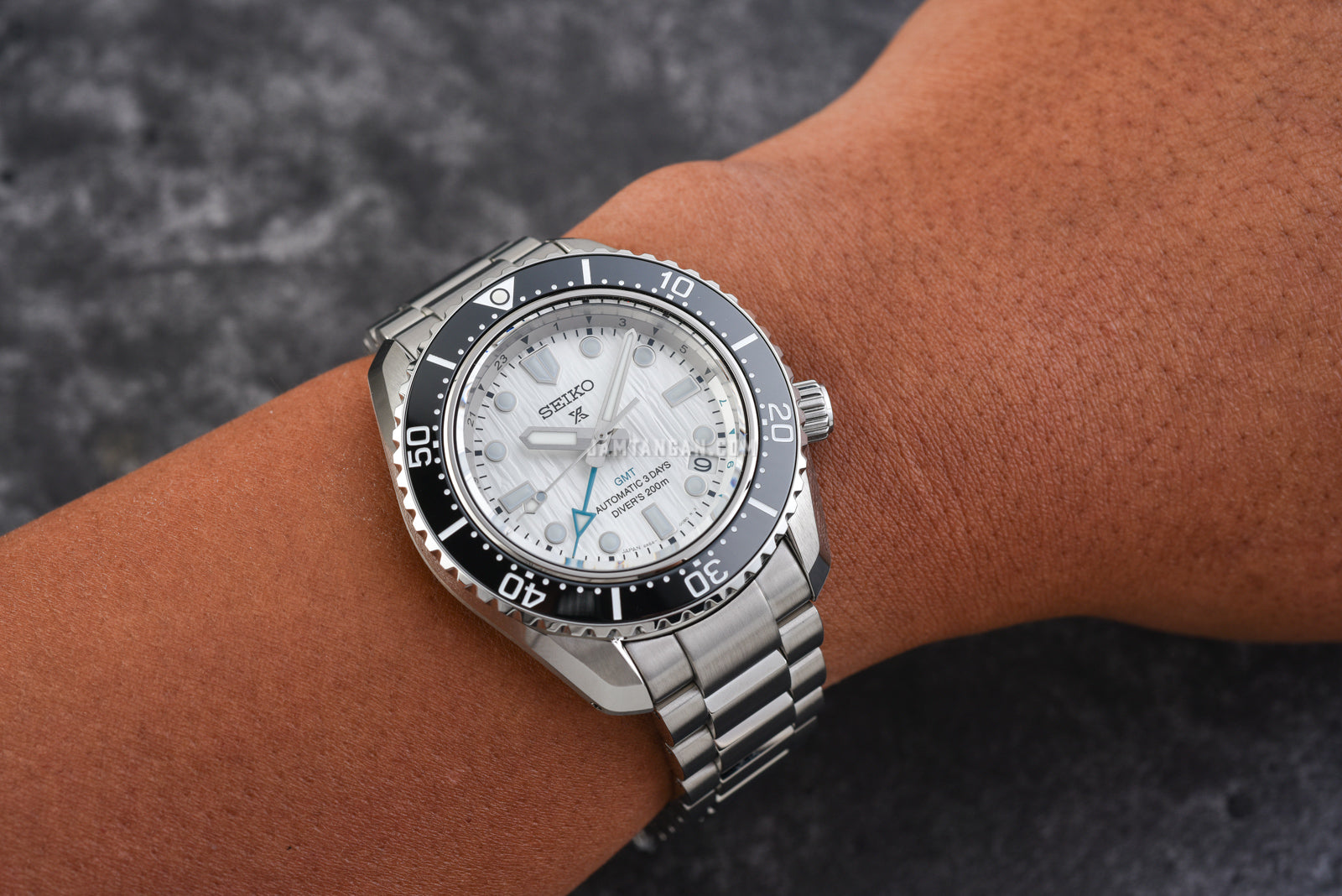 Seiko Prospex Sea Arctic Ocean GMT Limited Edition Silver Dial Silver Steel Strap Watch For Men - SPB439J1 wholesalehk.shop