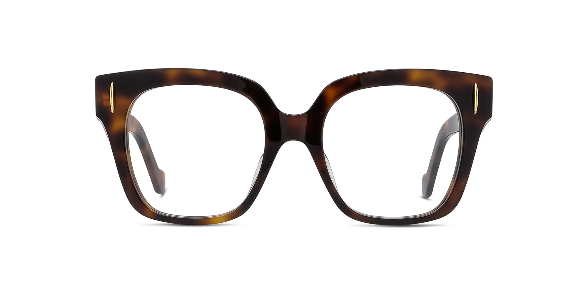 Loewe Anagram LW50069I