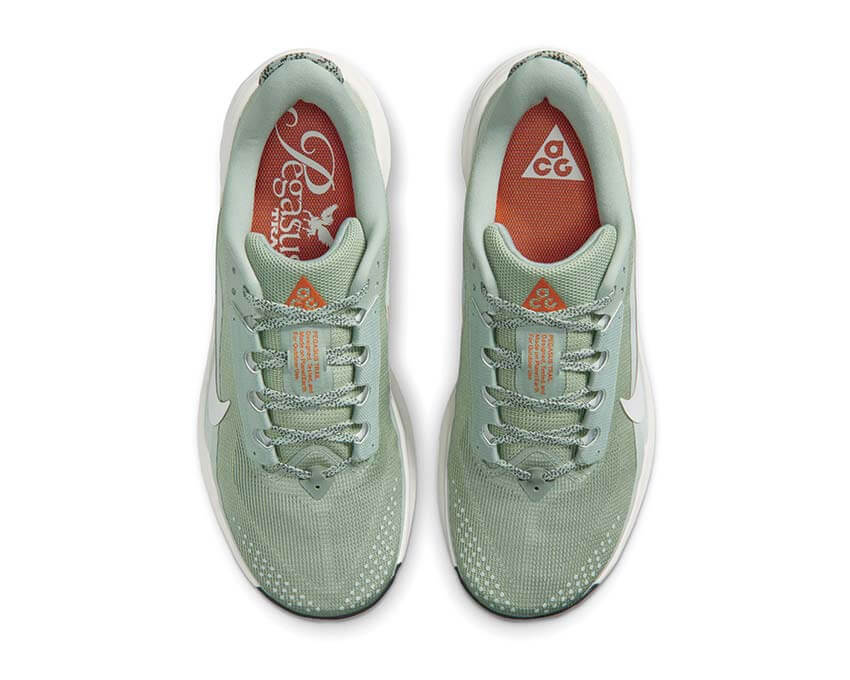 Nike ACG Pegasus Trail "Jade Horizon"