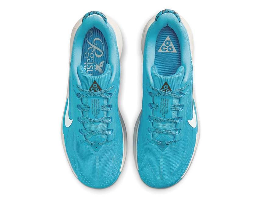 Nike ACG Pegasus Trail "Baltic Blue"