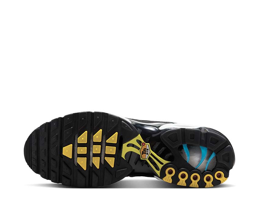 Nike Air Max Plus "Tropical Gradient"