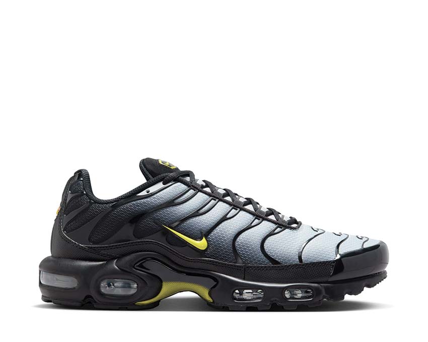 Nike Air Max Plus "Wolf Grey"