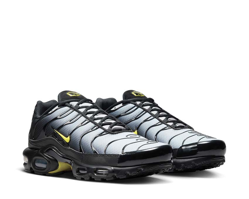 Nike Air Max Plus "Wolf Grey"