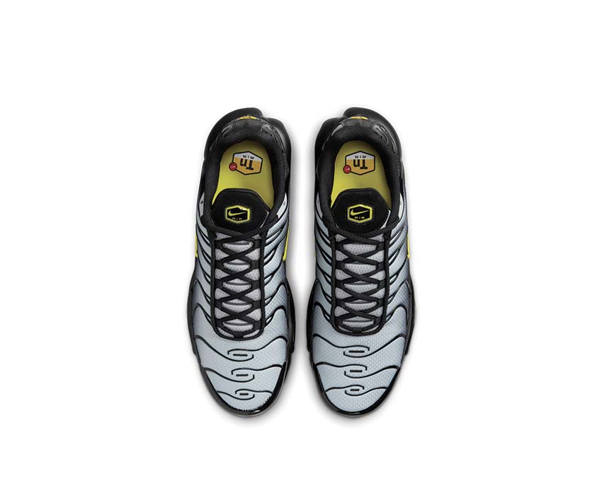 Nike Air Max Plus "Wolf Grey"