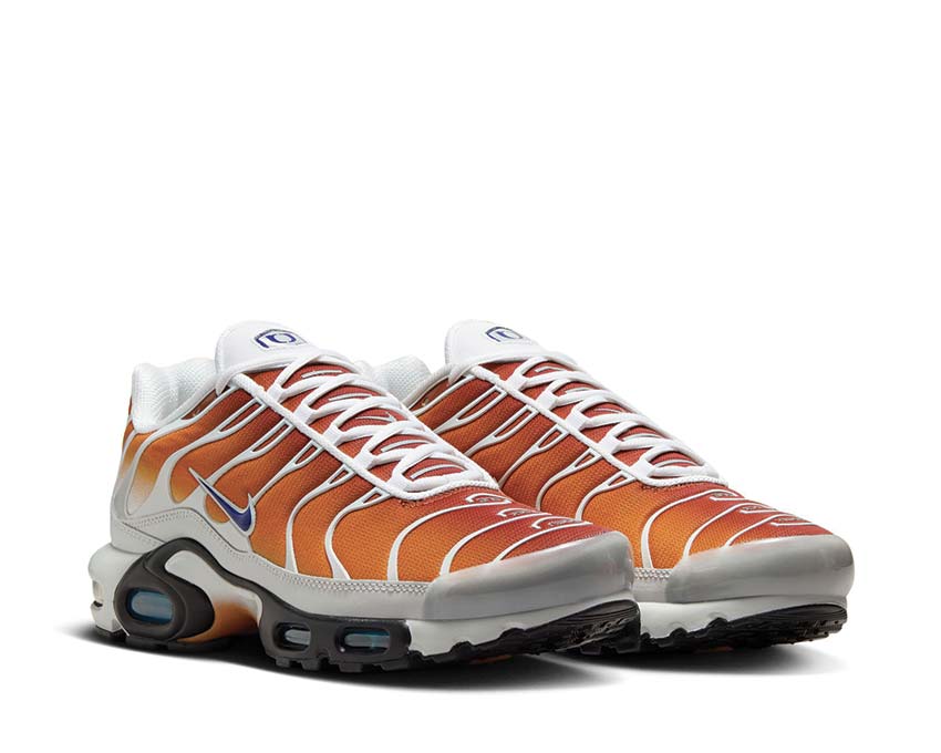 Nike Air Max Plus One Black Down "Reverse"