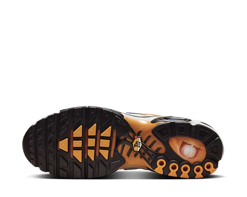Nike Air Max Plus One Black Down "Reverse"