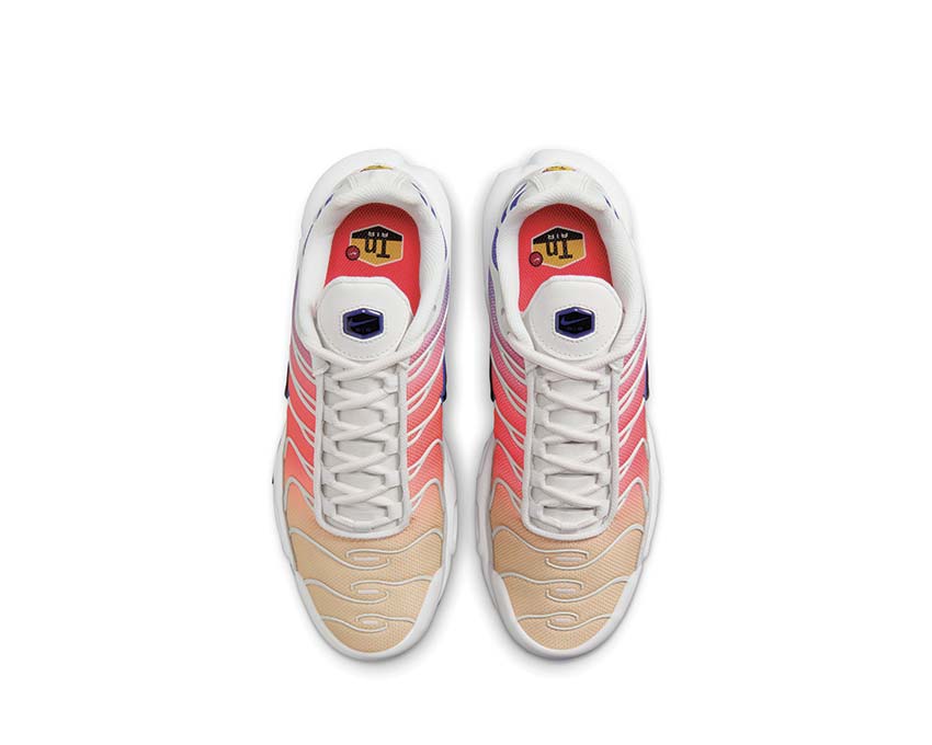 Nike Air Max Plus "Gradient"