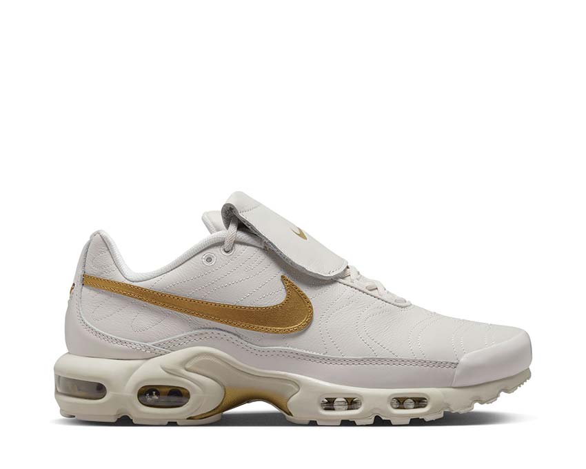 Nike Air Max Plus "Tiempo"