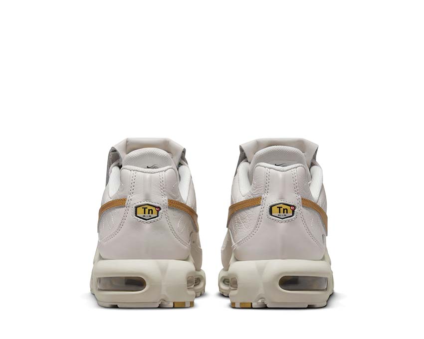 Nike Air Max Plus "Tiempo"
