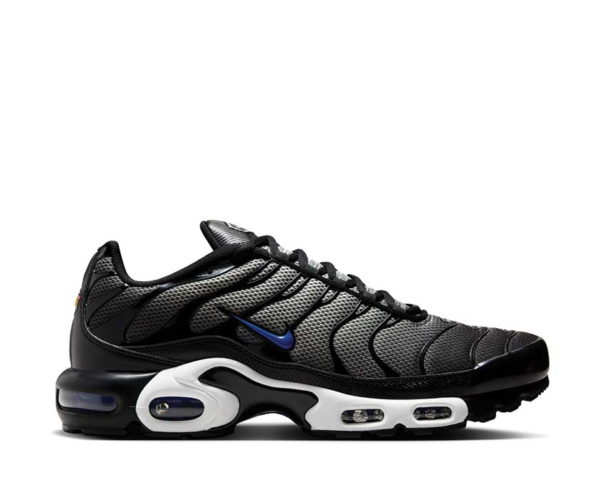 Nike Air Max Plus "Anthracite"