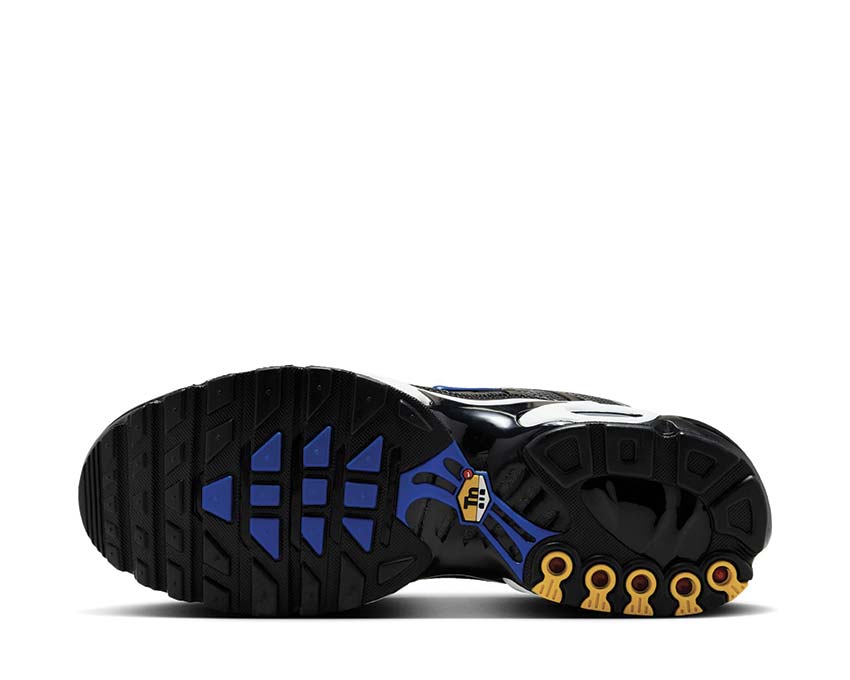 Nike Air Max Plus "Anthracite"
