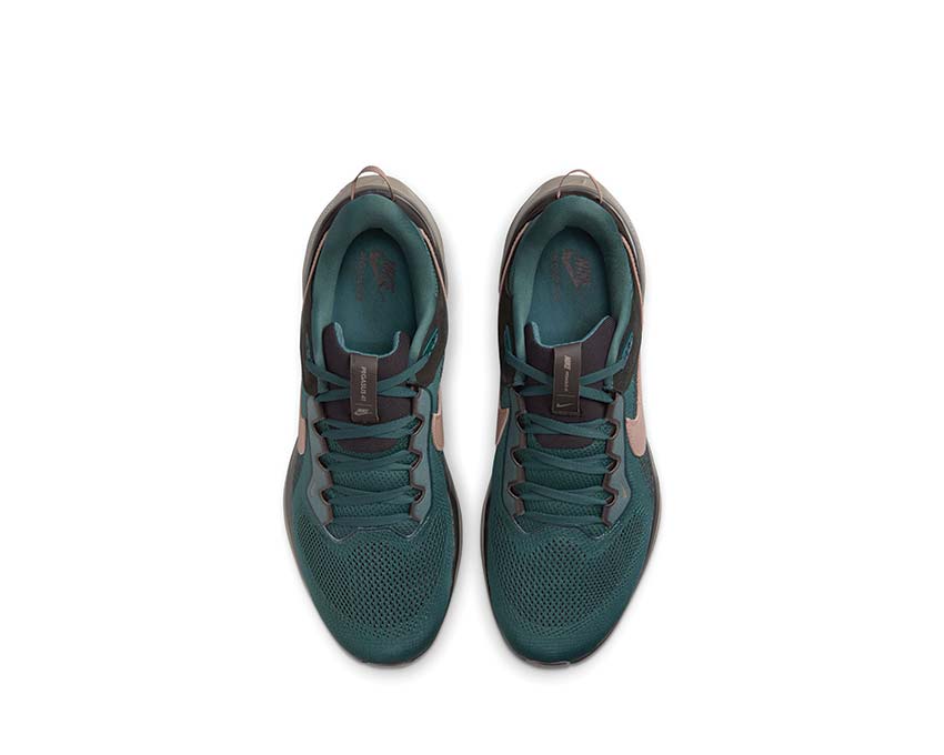 Nike Air Zoom Pegasus 41 SP