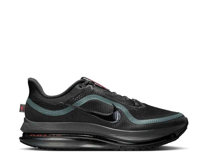 Nike Pegasus Premium "Anthracite"