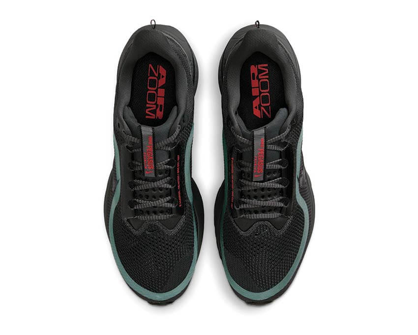 Nike Pegasus Premium "Anthracite"