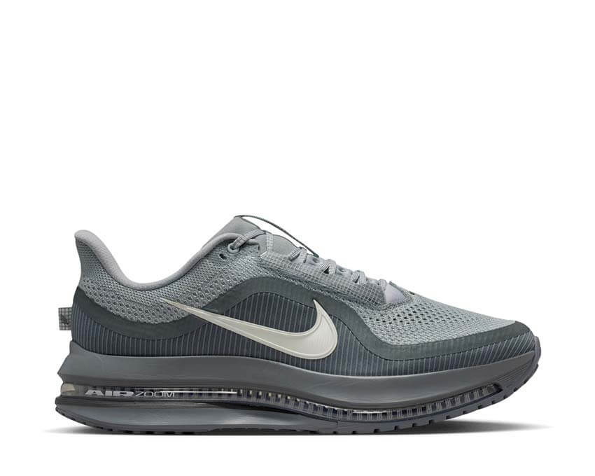 Nike Pegasus Premium "Wolf Grey"