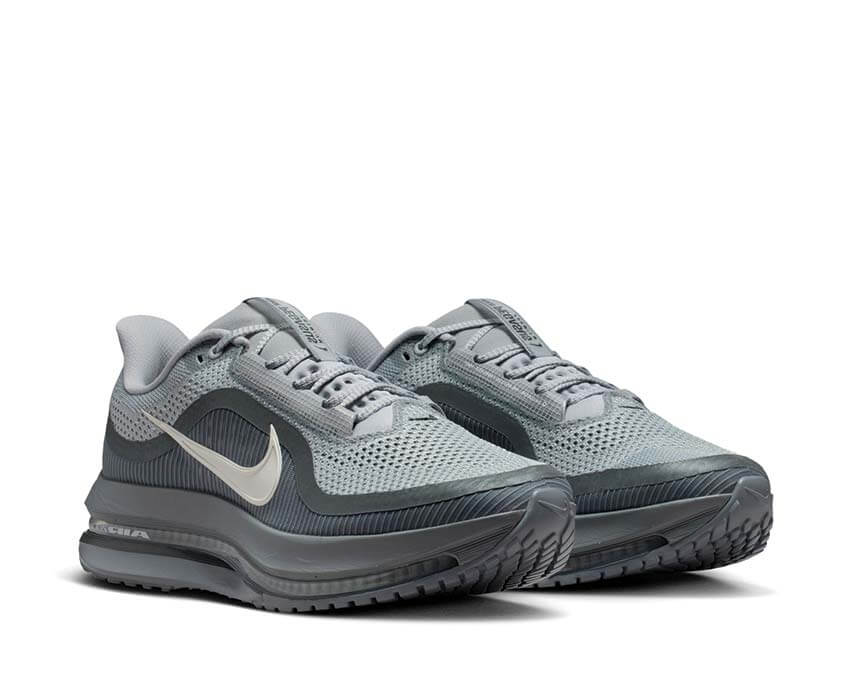 Nike Pegasus Premium "Wolf Grey"