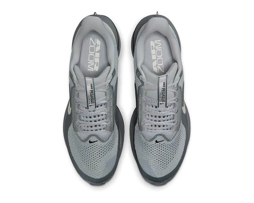 Nike Pegasus Premium "Wolf Grey"