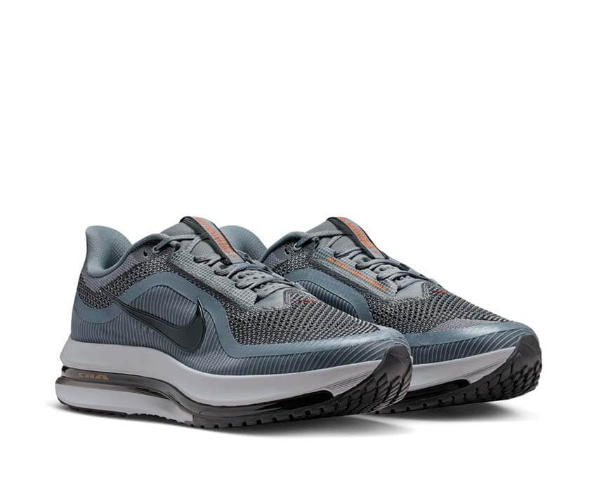Nike Pegasus Premium "Cool Grey"