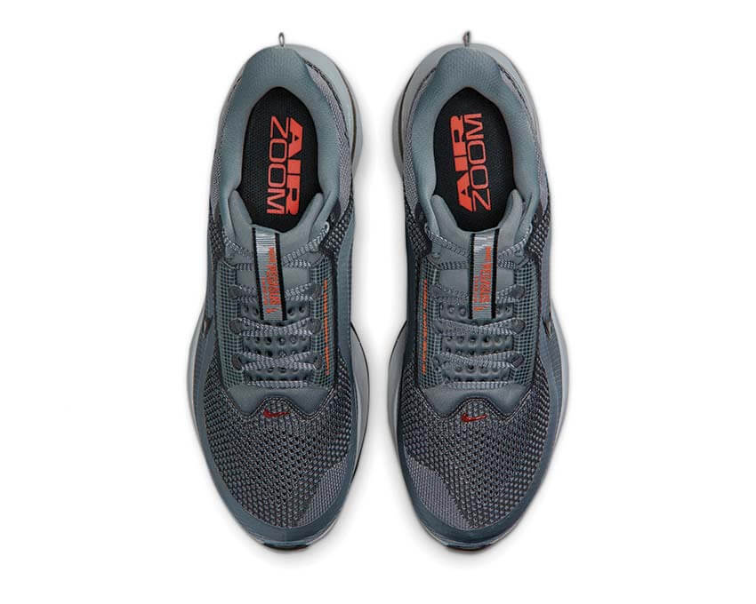Nike Pegasus Premium "Cool Grey"