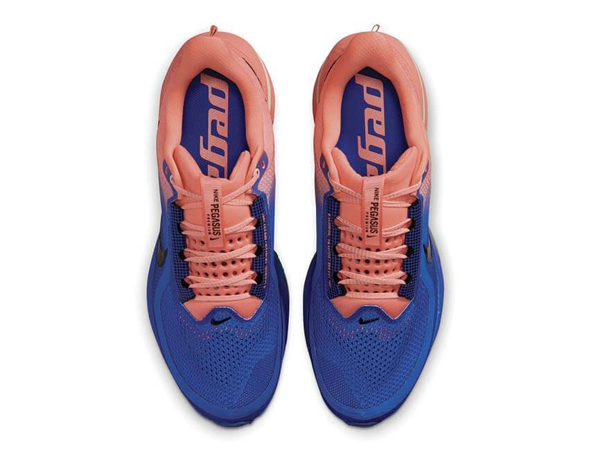 Nike Pegasus Premium "Racer Blue"