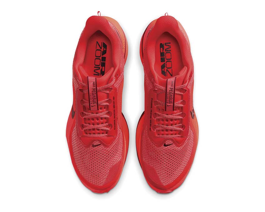 Nike Pegasus Premium "Light Crimson"