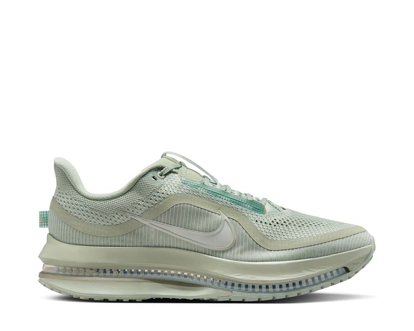 Nike Pegasus Premium "Jade Horizon"