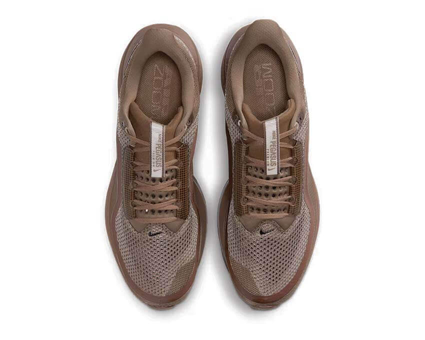 Nike Pegasus Premium SP "Caldera Brown"