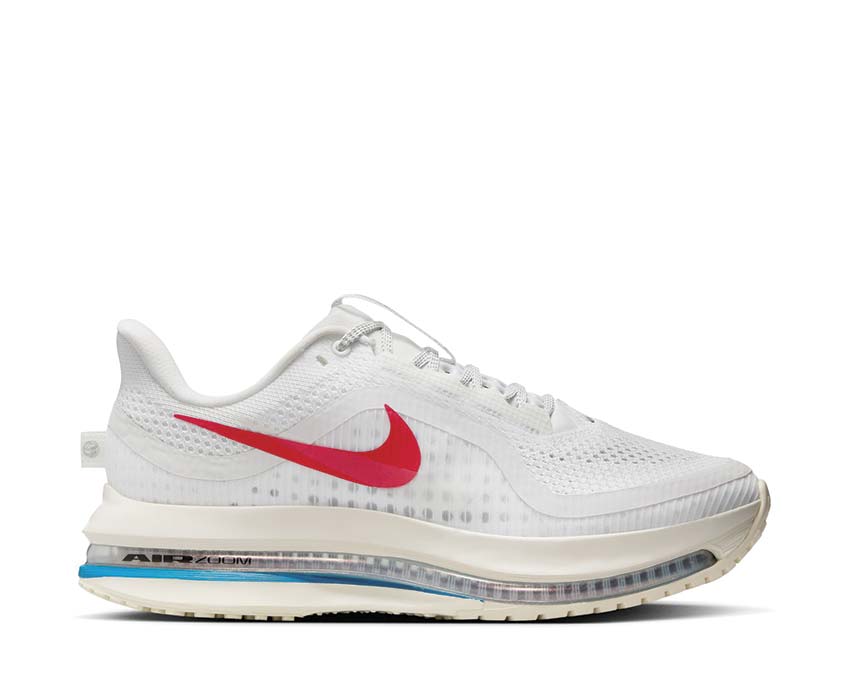 Nike Pegasus Premium W "Forest Gump"