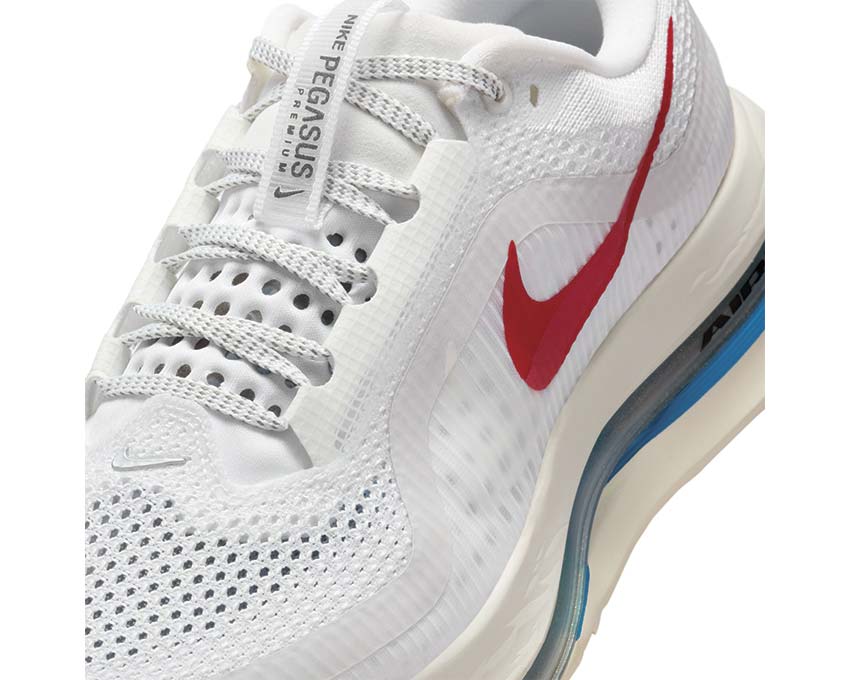 Nike Pegasus Premium W "Forest Gump"
