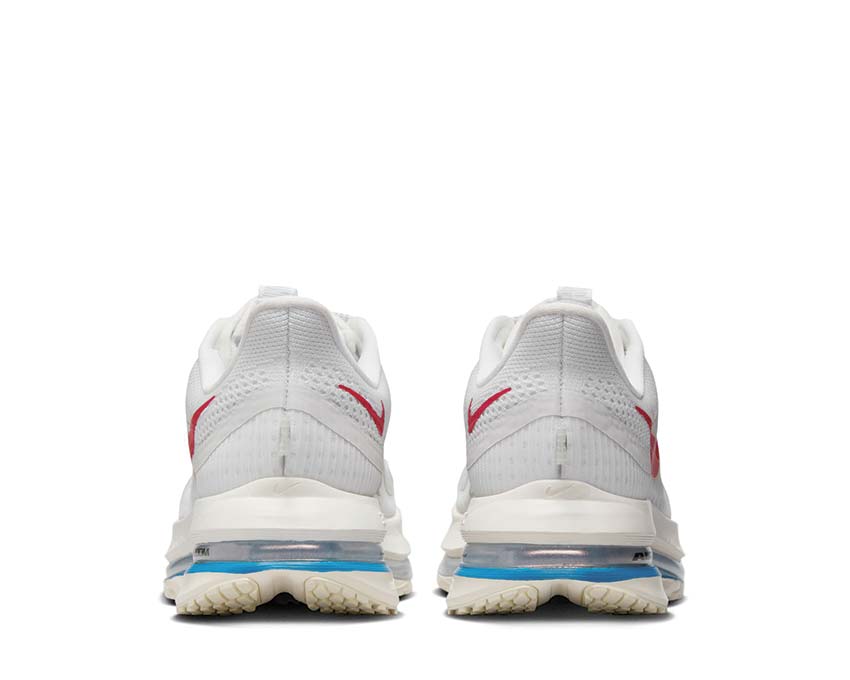 Nike Pegasus Premium W "Forest Gump"