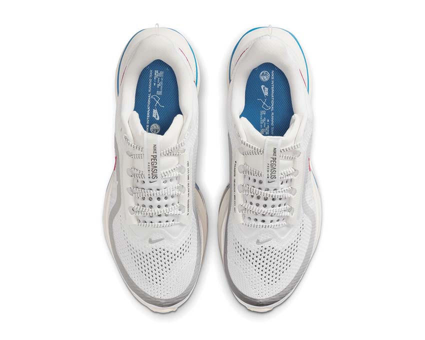 Nike Pegasus Premium W "Forest Gump"