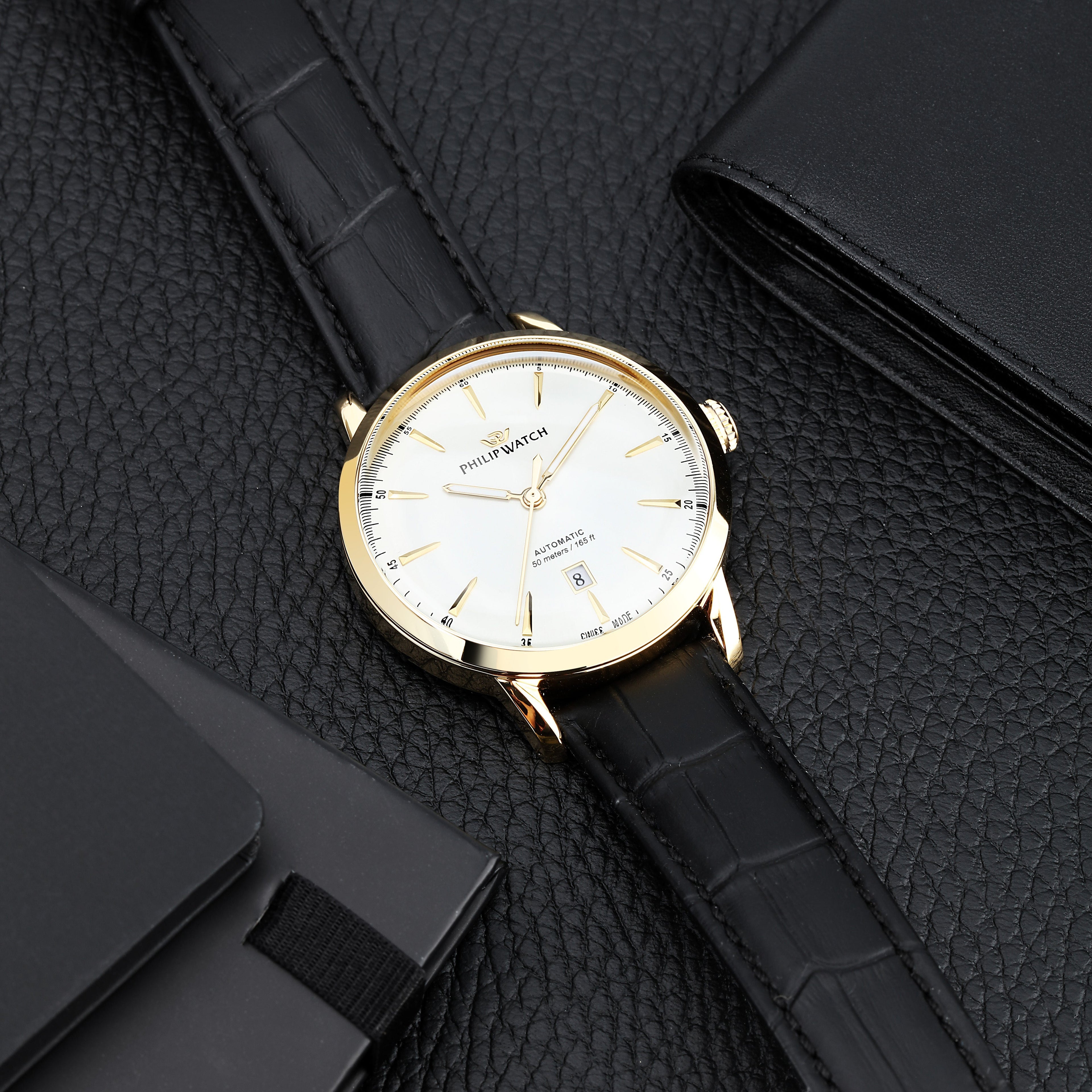 Philip Watch Sunray Men's Watch R8221180018