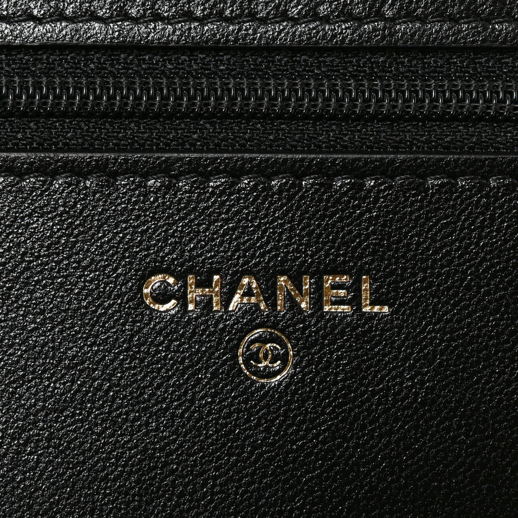 Lambskin Quilted Chanel 19 Wallet On Chain WOC Black wholesalehk.shop