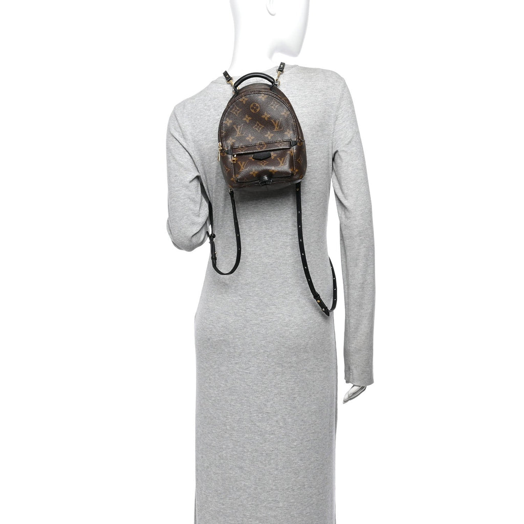 Monogram Palm Springs Backpack Mini £¨ Direct shipment via from wholesalehk.shop