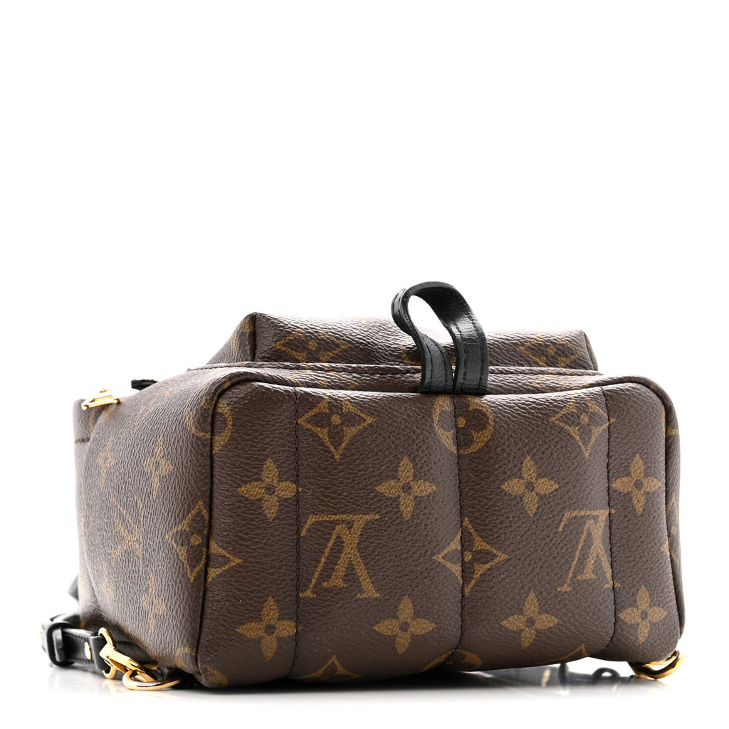 Monogram Palm Springs Backpack Mini £¨ Direct shipment via from wholesalehk.shop