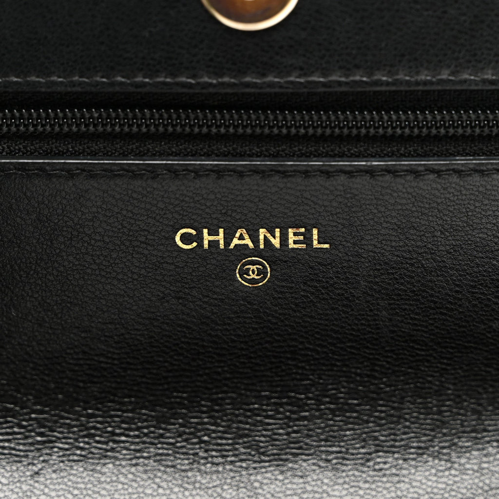 Goatskin Quilted Chanel 19 Wallet On Chain WOC Black wholesalehk.shop