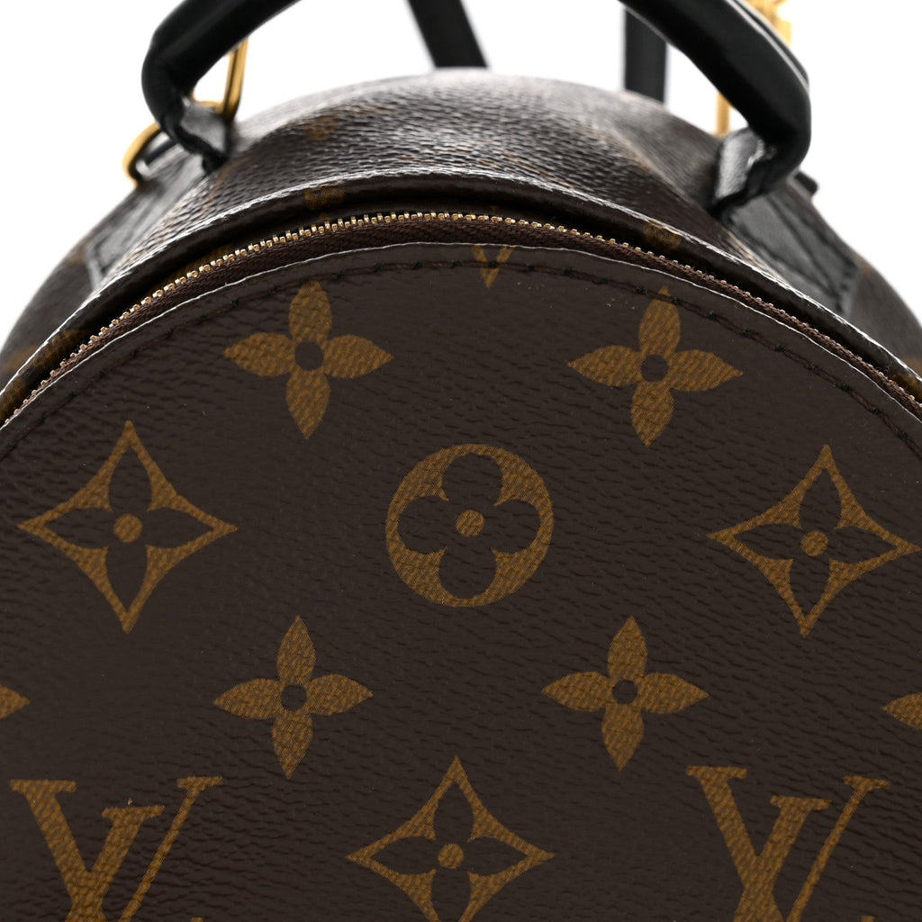 Monogram Palm Springs Backpack Mini £¨ Direct shipment via from wholesalehk.shop