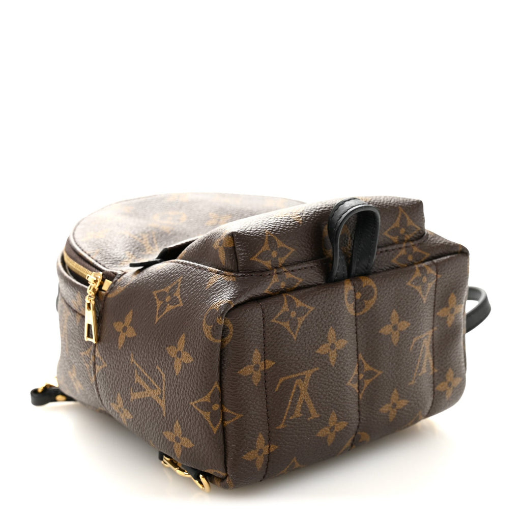 Monogram Palm Springs Backpack Mini £¨ Direct shipment via from wholesalehk.shop