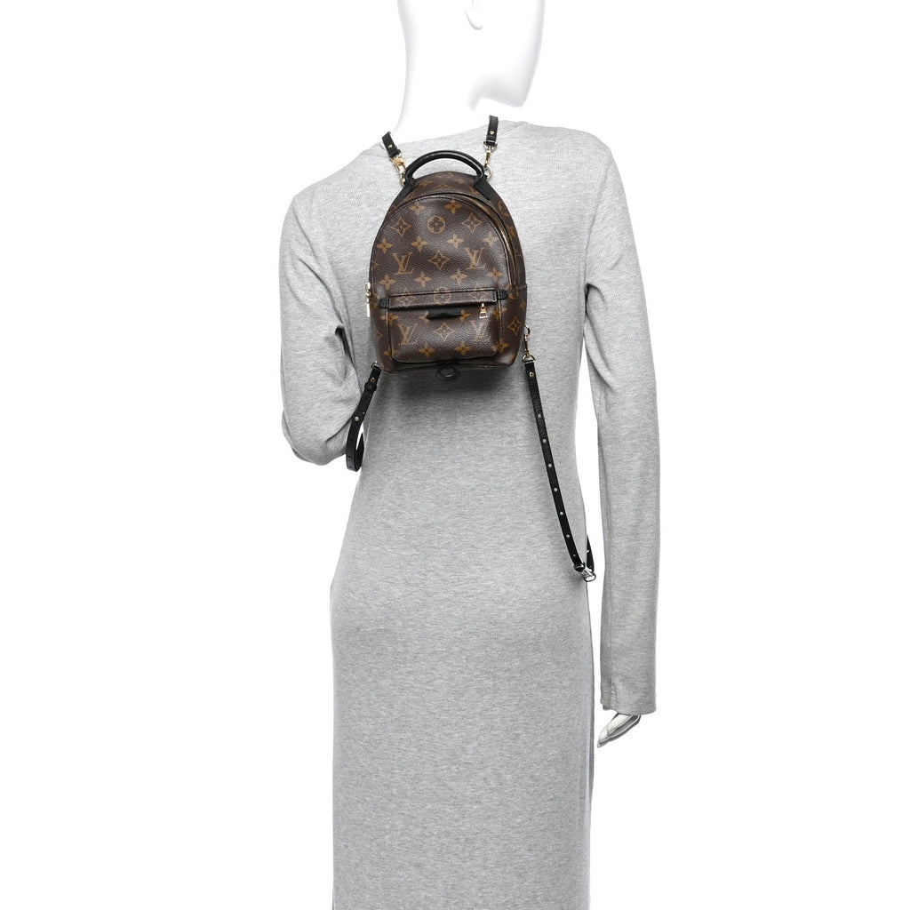 Monogram Palm Springs Backpack Mini £¨ Direct shipment via from wholesalehk.shop