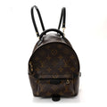 Monogram Palm Springs Backpack Mini £¨ Direct shipment via from wholesalehk.shop