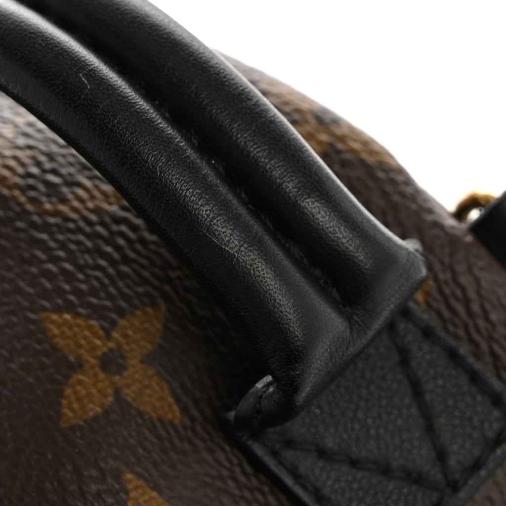 Monogram Palm Springs Backpack Mini £¨ Direct shipment via from wholesalehk.shop