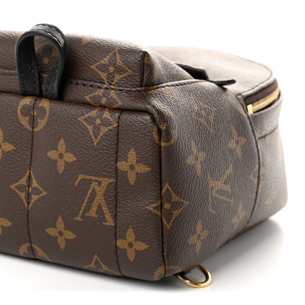 Monogram Palm Springs Backpack Mini £¨ Direct shipment via from wholesalehk.shop