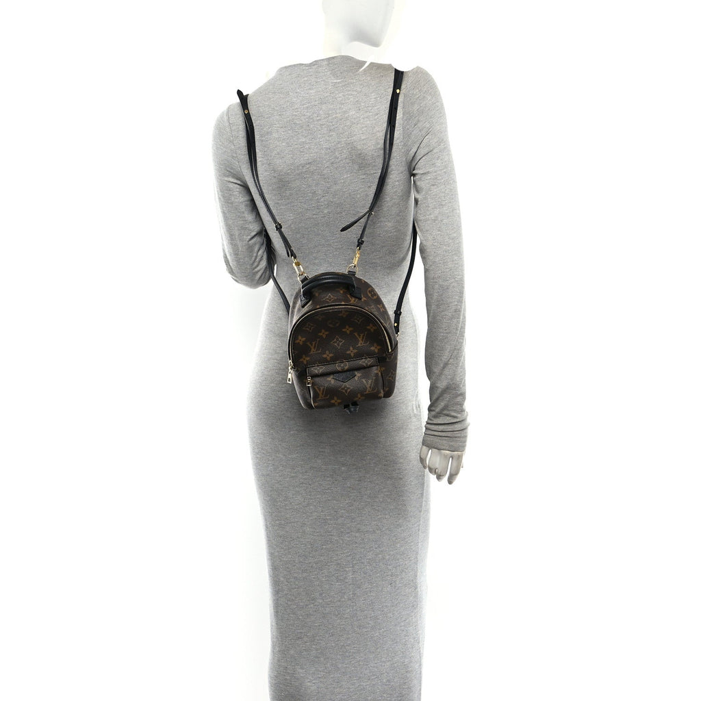 Monogram Palm Springs Backpack Mini £¨ Direct shipment via from wholesalehk.shop