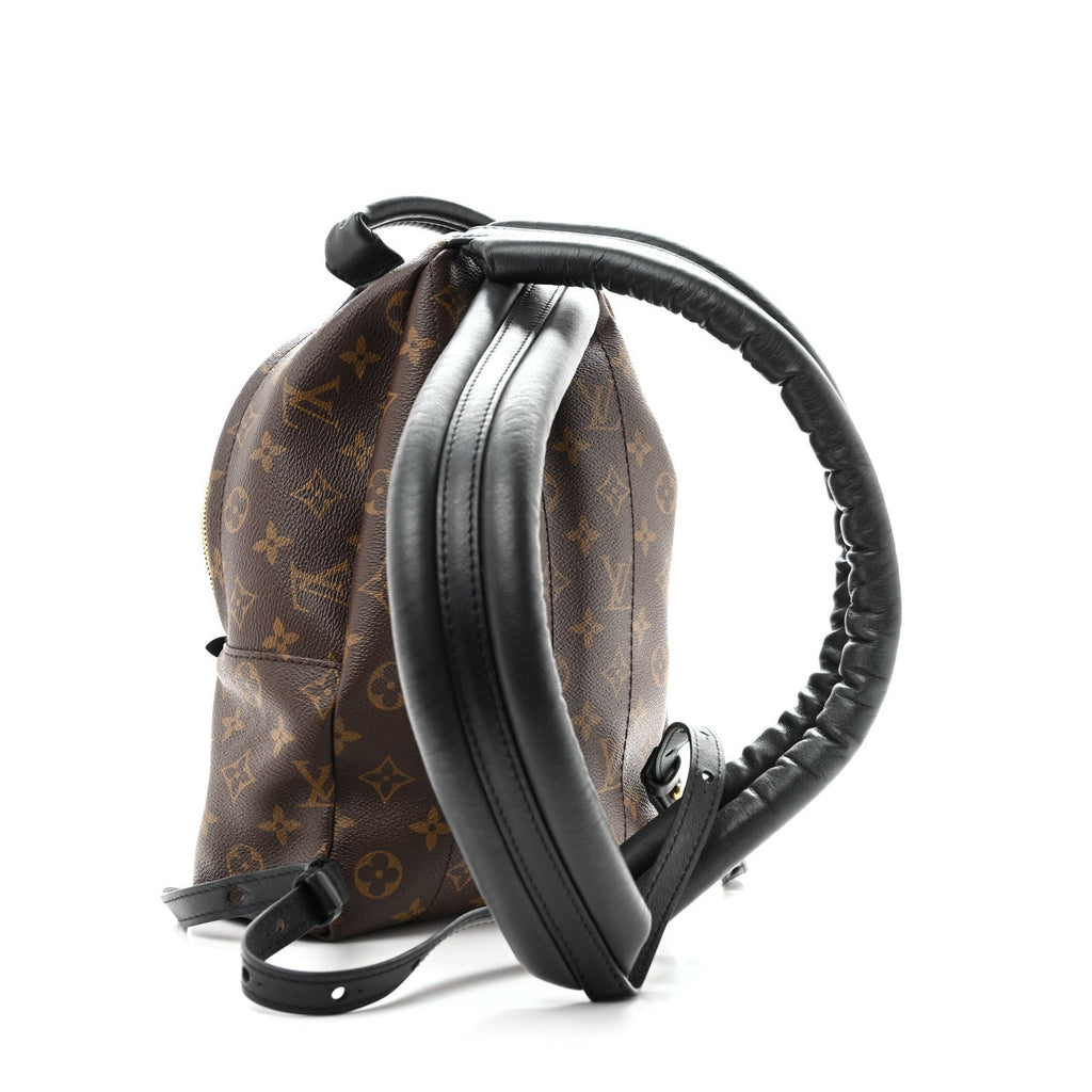 Monogram Palm Springs Backpack PM £¨ Direct shipment via from wholesalehk.shop