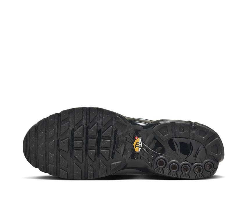 Nike Air Max Plus «Tiempo»