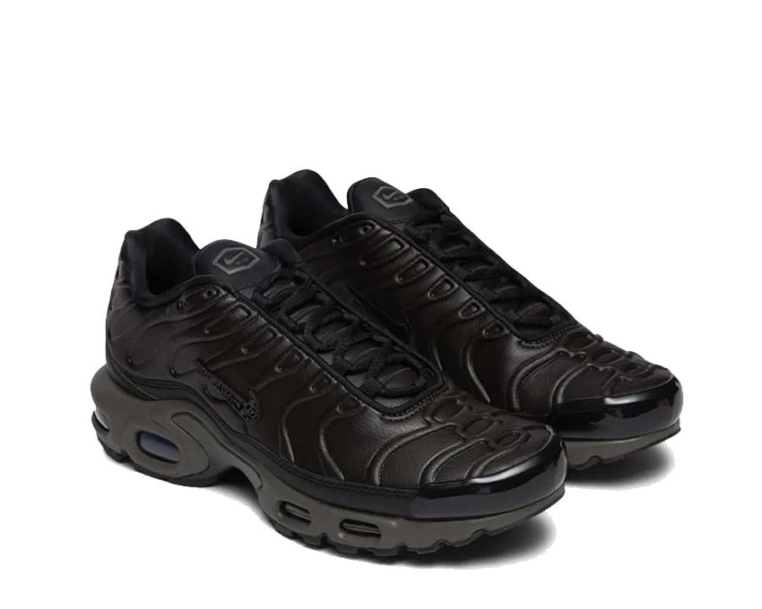 Nike Air Max Plus PRM QS "Paris"