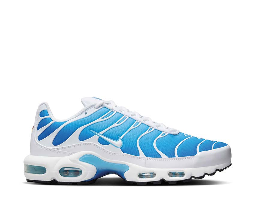Nike Air Max Plus "Sky Blue"